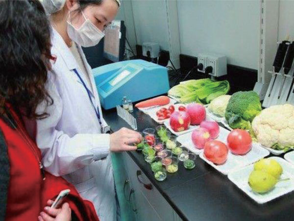 有機(jī)蔬菜配送:新鮮、健康、直送到家